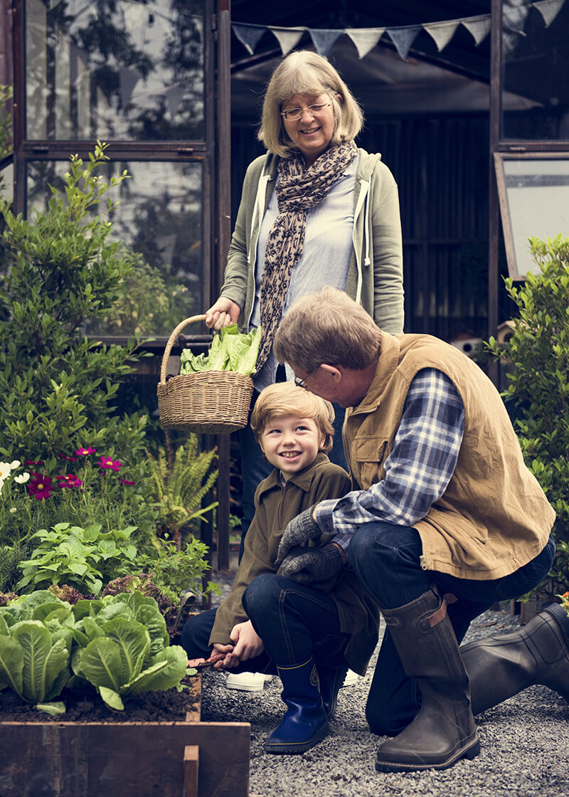 bigstock-Grandparents-and-Grandson-Pick-186 800px